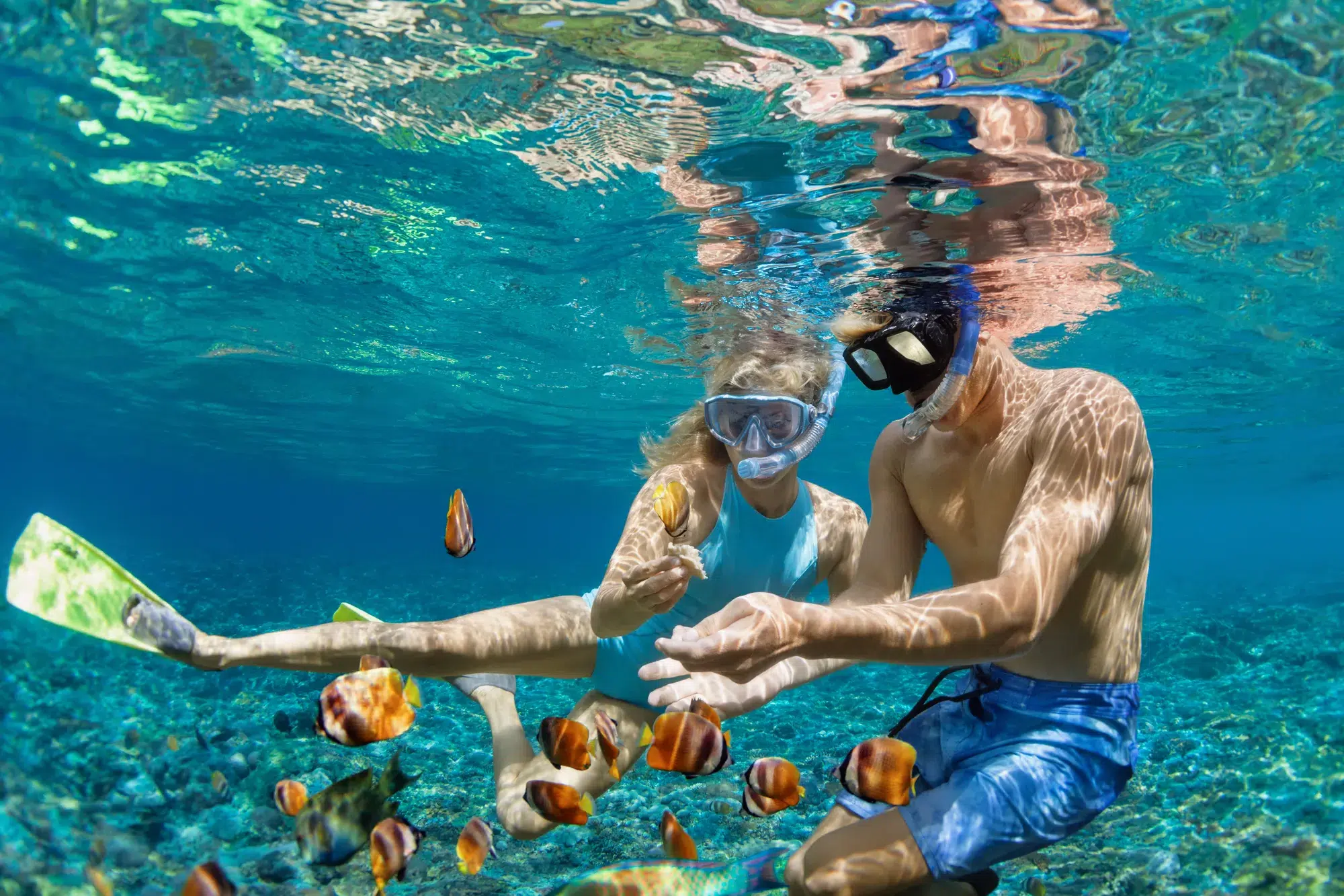 Explore Arubas Underwater Paradise Explore Arubas Underwater Paradise